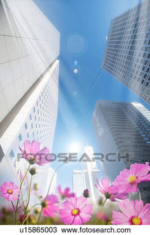 Lohas, Environmental Conservation, Digitally generated image of skyscraper with flowers View Large Photo Image Stock Image - Lohas, Environmental Conservation, Digitally generated image of skyscraper with flowers. Fotosearch