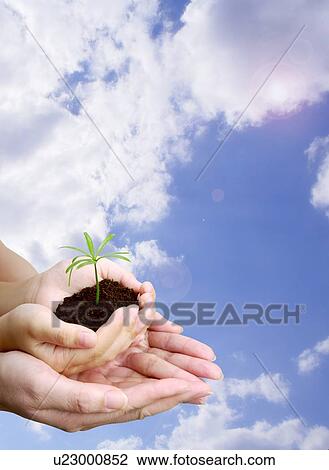 Stock Image - Lohas, Environmental Conservation, Digitally generated image of hands of two generations holding a seedling and soil together. Fotosearch