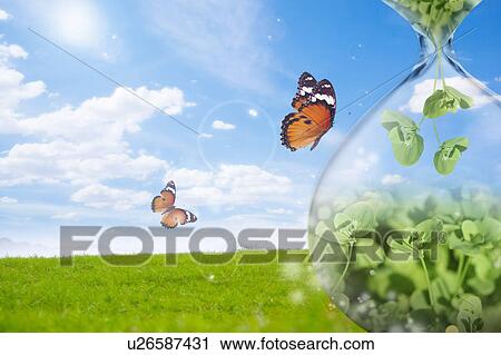 Lohas, Environmental Conservation, Digitally generated image of seedlings, butterflies, grass and blue sky View Large Photo Image Stock Image - Lohas, Environmental Conservation, Digitally generated image of seedlings, butterflies, grass and blue sky. Fotosearch