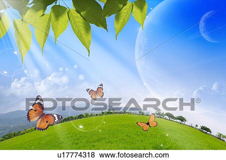 Stock Photo - Lohas, Environmental Conservation, Digitally generated image of green leaves, butterflies and sunshine. Fotosearch