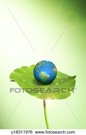 Lohas, Environmental Conservation, Digitally generated image of globe on the green lily pad View Large Photo Image Stock Photograph - Lohas, Environmental Conservation, Digitally generated image of globe on the green lily pad. Fotosearch