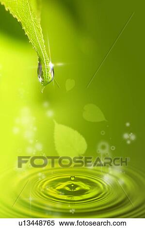 Lohas, Environmental Conservation, Digitally generated image of green leaf and drops on water surface View Large Photo Image Stock Photography - Lohas, Environmental Conservation, Digitally generated image of green leaf and drops on water surface. Fotosearch