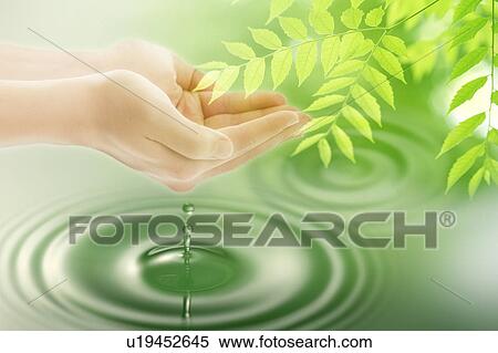 Stock Photography - Lohas, Environmental Conservation, Digitally generated image of human hands with green leaves and drops. Fotosearch