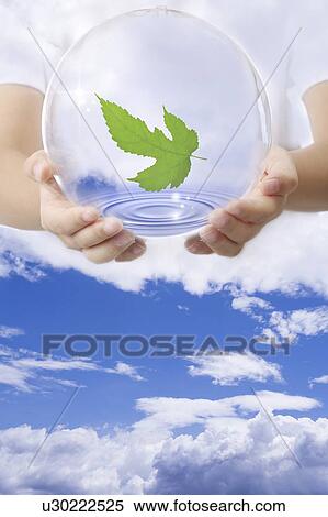 Stock Photography - Lohas, Environmental Conservation, Digitally generated image of human hands holding a sphere with green leaf in blue sky. Fotosearch