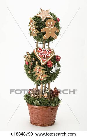 Christmas Tree in a flowerpot View Large Photo Image Stock Image - Christmas Tree in a flowerpot. Fotosearch