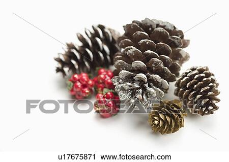 Stock Image - Different sizes of pine cones. Fotosearch
