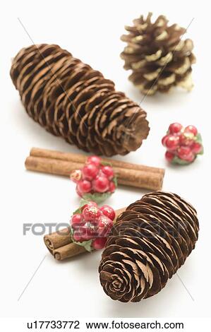 Stock Image - Pine Cones and cinnamon canes. Fotosearch