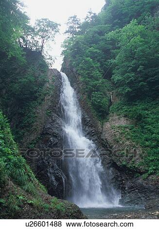 Stock Photo - Anmon no Taki Falls, Shirakami Sanchi, Japan. Fotosearch