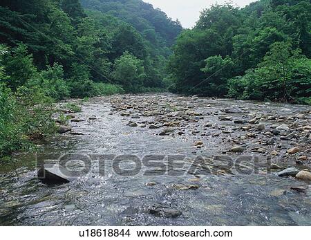 Picture - Anmon River, Shirakami Sanchi, Japan. Fotosearch