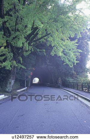 Aono Domon, Nakatsu City, Oita Prefecture, Japan, Blue Tunnel, Yabakei View Large Photo Image Stock Photo - Aono Domon, Nakatsu City, Oita Prefecture, Japan, Blue Tunnel, Yabakei. Fotosearch