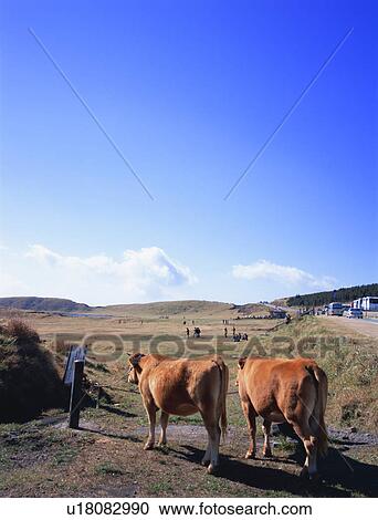 Aso, Kumamoto Prefecture, Japan View Large Photo Image Stock Image - Aso, Kumamoto Prefecture, Japan. Fotosearch