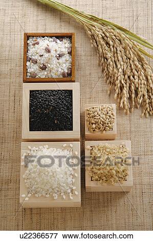 Assorted uncooked rice in cups View Large Photo Image Stock Photo - Assorted uncooked rice in cups. Fotosearch