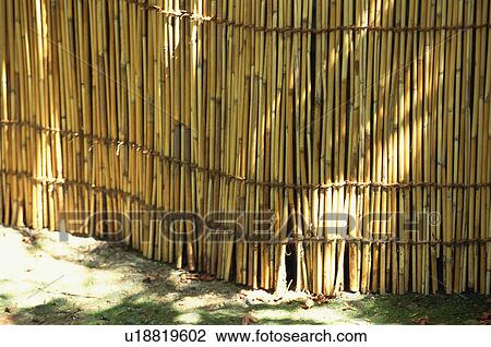 Stock Image - Bamboo blinds. Fotosearch
