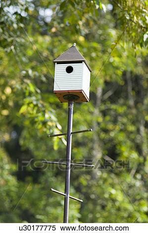 Bird house View Large Photo Image Stock Photography - Bird house. Fotosearch