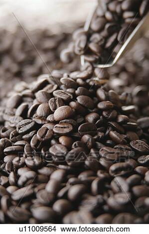 Picture - Coffee Beans. Fotosearch