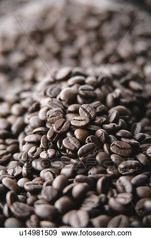 Coffee Beans View Large Photo Image Stock Photo - Coffee Beans. Fotosearch