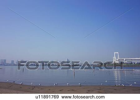 Stock Photo - Daiba Beech, Tokyo, Japan. Fotosearch
