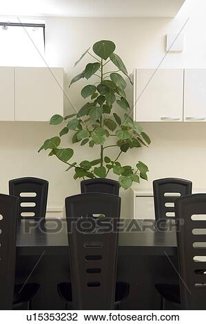 Stock Image - Dining room. Fotosearch