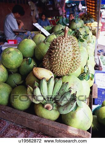 Durian View Large Photo Image Stock Image - Durian. Fotosearch