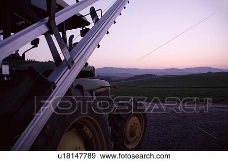 Dusk in wheat field View Large Photo Image Stock Photo - Dusk in wheat field. Fotosearch