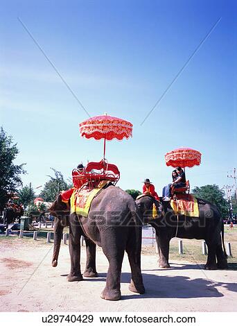 Elephant Riding View Large Photo Image Stock Photo - Elephant Riding. Fotosearch