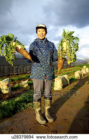 Picture - Farmer holding Daikon Radish. Fotosearch