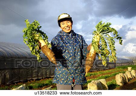 Stock Image - Farmer holding Daikon Radish. Fotosearch