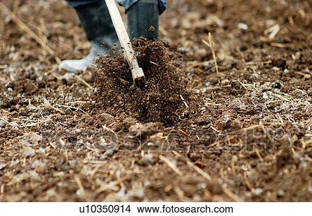 Picture - Farmer plowing field. Fotosearch