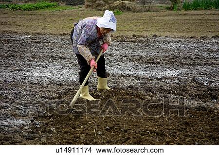Farmer plowing field View Large Photo Image Picture - Farmer plowing field. Fotosearch