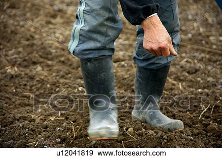 Stock Photo - Farmer sowing seeds. Fotosearch