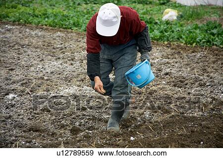 Stock Photo - Farmer sowing seeds. Fotosearch