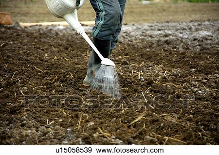 Stock Photo - Farmer watering field. Fotosearch