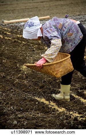 Farmer working in field View Large Photo Image Stock Image - Farmer working in field. Fotosearch