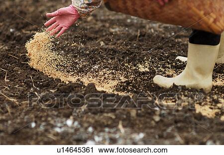 Stock Image - Farmer working in field. Fotosearch