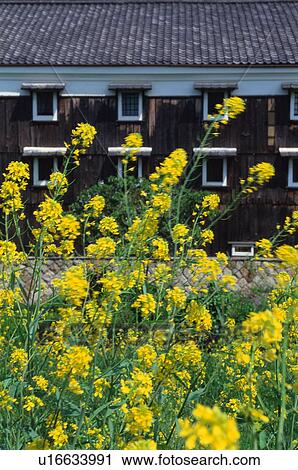 Stock Image - Fushimi, Kyoto Prefecture, Japan. Fotosearch