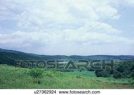 Picture - Gozaisho Marsh in Iwate Prefecture, Japan. Fotosearch