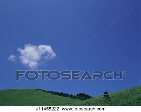 Stock Image - Green field and blue sky. Fotosearch