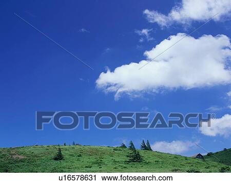 Stock Image - Green field and blue sky. Fotosearch
