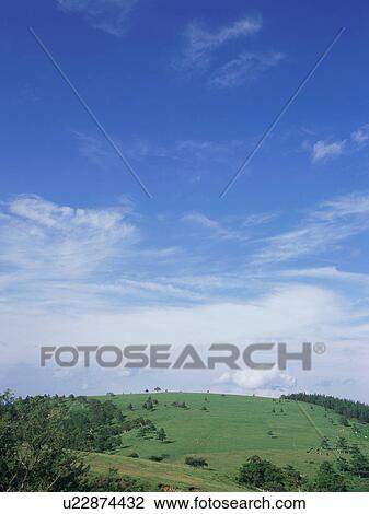 Stock Image - Green field and blue sky. Fotosearch