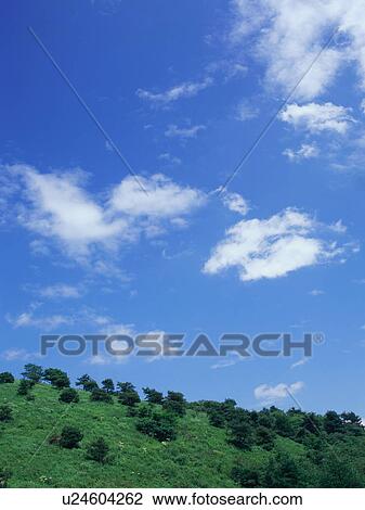 Stock Image - Green field and blue sky. Fotosearch
