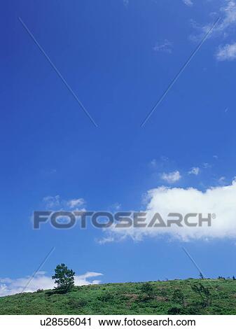 Stock Image - Green field and blue sky. Fotosearch