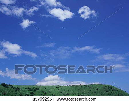 Stock Image - Green field and blue sky. Fotosearch