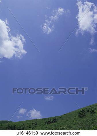 Stock Photo - Green field and blue sky. Fotosearch