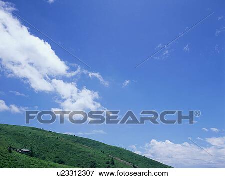 Stock Photo - Green field and blue sky. Fotosearch
