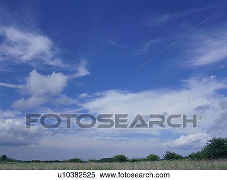Stock Photography - Green field and blue sky. Fotosearch