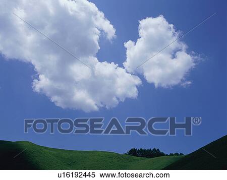 Stock Photography - Green field and blue sky. Fotosearch