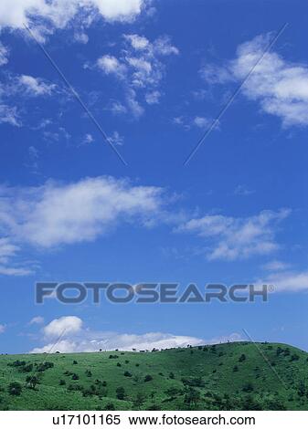 Stock Photography - Green field and blue sky. Fotosearch