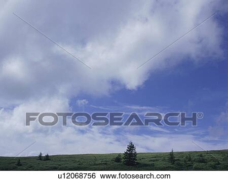 Green field and sky View Large Photo Image Stock Photograph - Green field and sky. Fotosearch