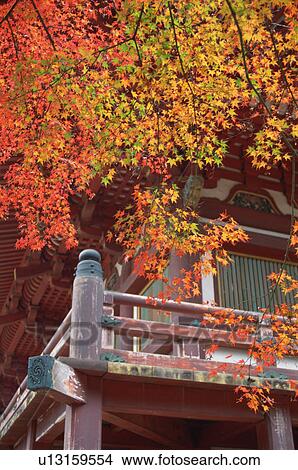 Jingo-ji Temple, Kyoto Prefecture, Japan View Large Photo Image Picture - Jingo-ji Temple, Kyoto Prefecture, Japan. Fotosearch