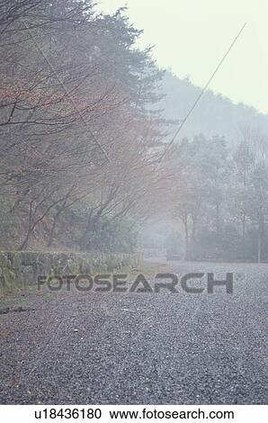 Stock Image - Jingo-ji Temple, Kyoto Prefecture, Japan. Fotosearch